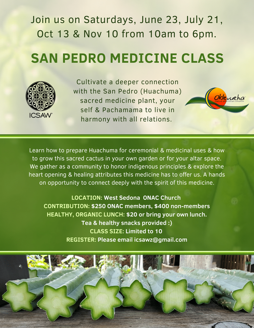SAN PEDRO MEDICINE CLASS